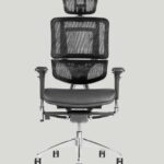 Ergonomik Ofis Koltuğu