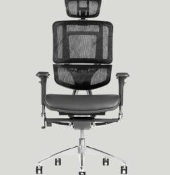 Ergonomik Ofis Koltuğu