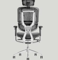 Ergonomik Ofis Koltuğu
