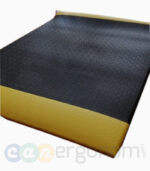 Yorgunluk Giderici Paspas Can06